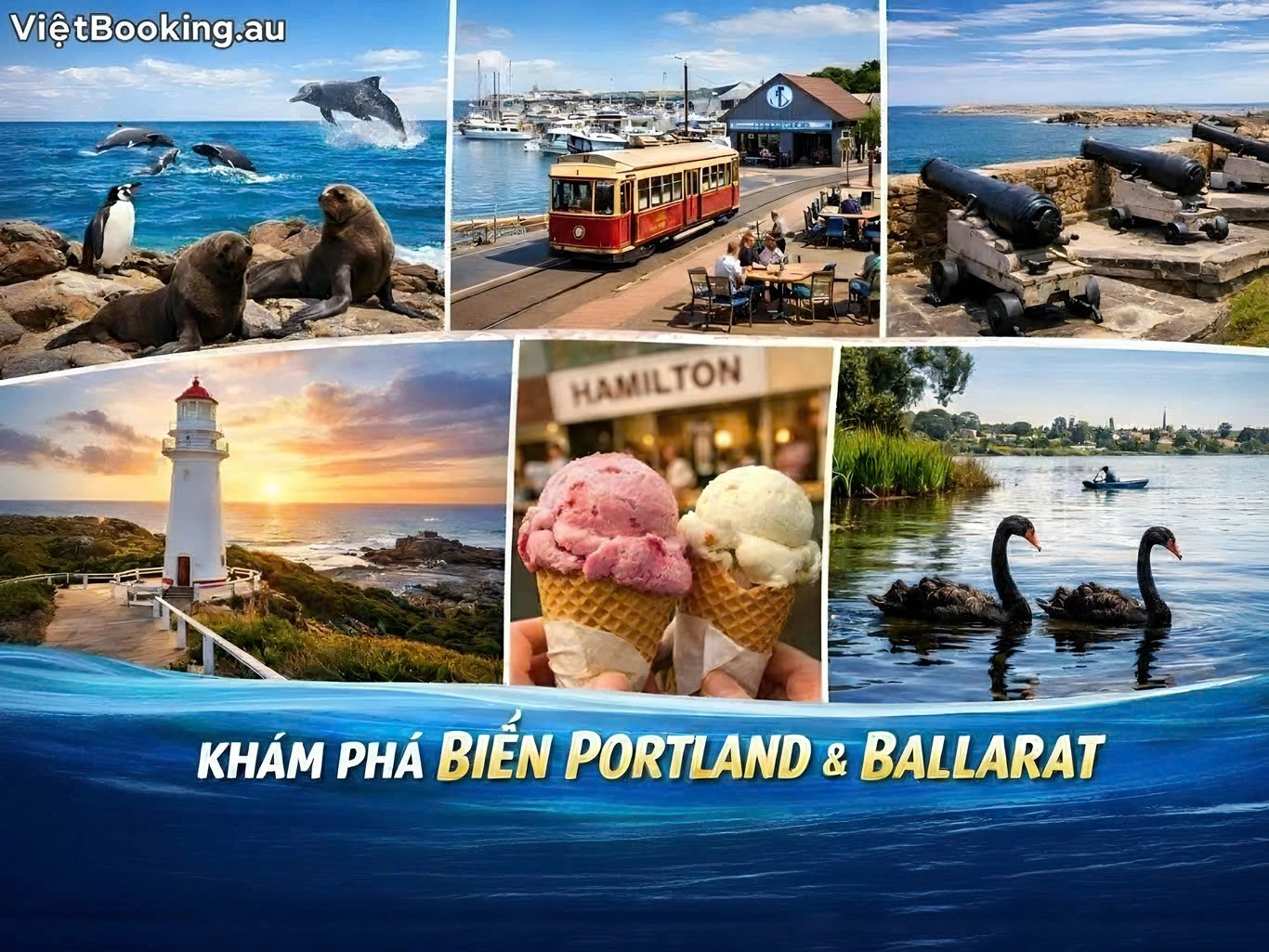 Việt booking - VietBooking - Vbooking - Khám Phá Biển Portland - Hành Trình Chạm Vào Vẻ Đẹp Hoang Sơ Nước Úc