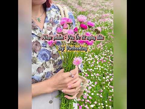 Love Australia on the first day - Yêu Úc từ ngày đầu