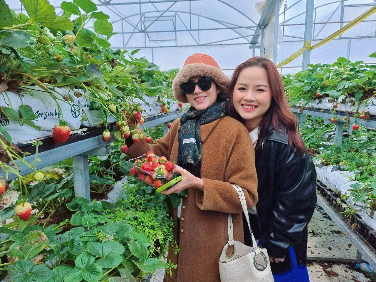 1a060d3d581ded43b40c34-1280x960.webp (291 KB)