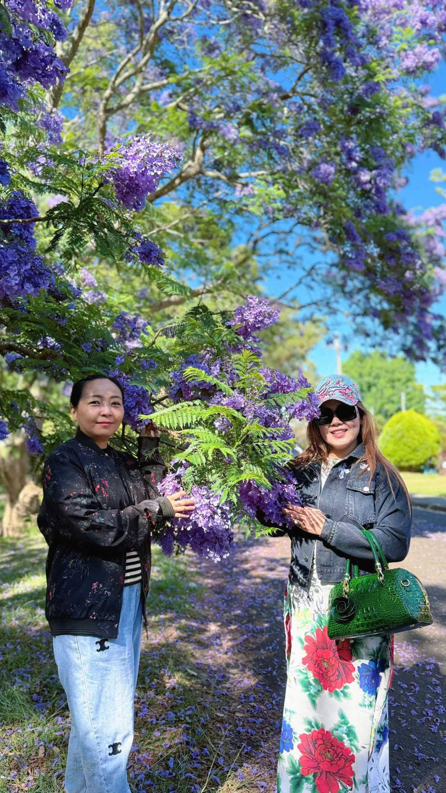 3f6d25e86aa6e5f8bcb71-1439x2560.webp (548 KB)