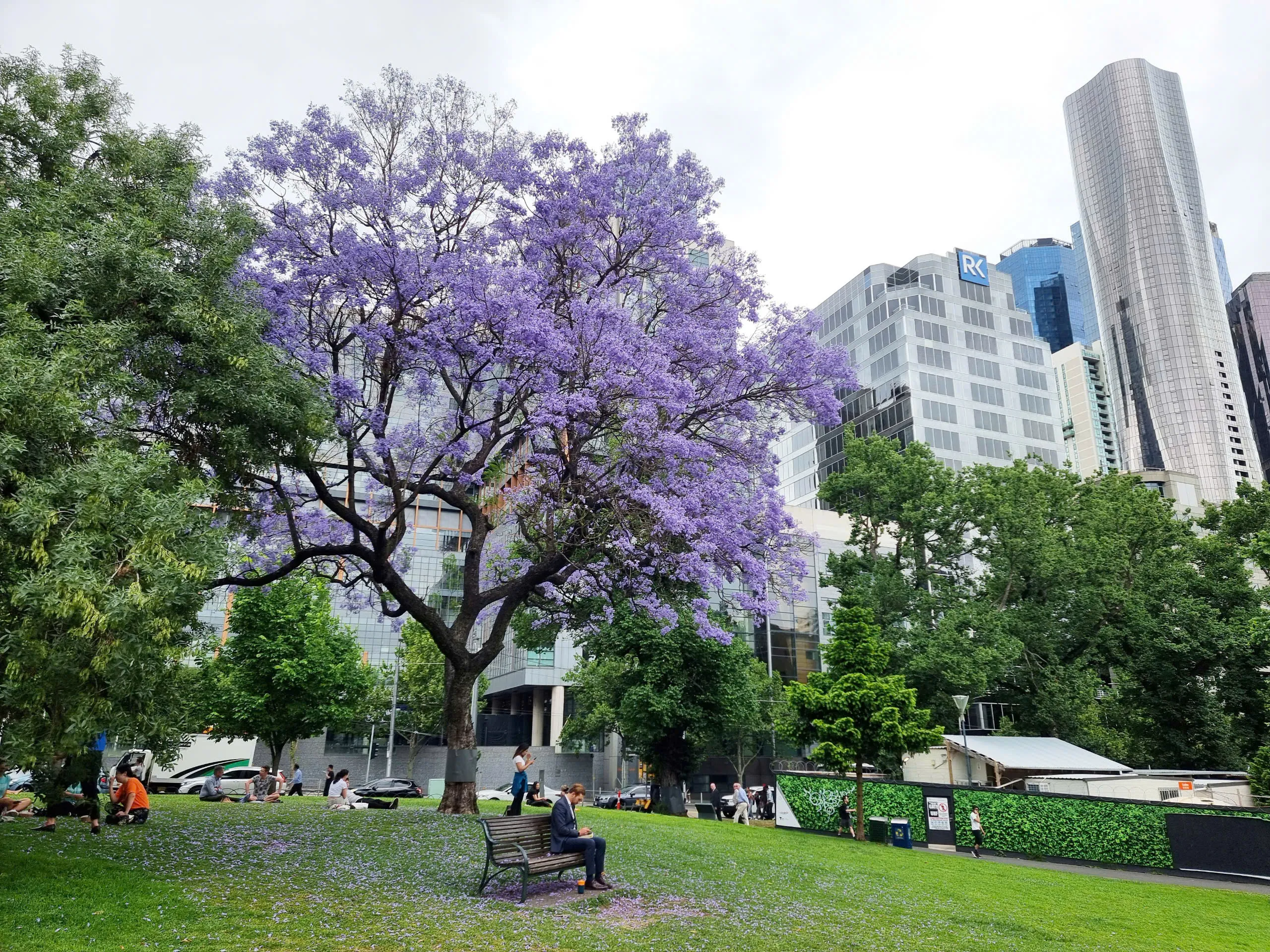 6f804ee9-371e-4672-b1d6-6e42d8838474-2560x1920.webp (1.23 MB)