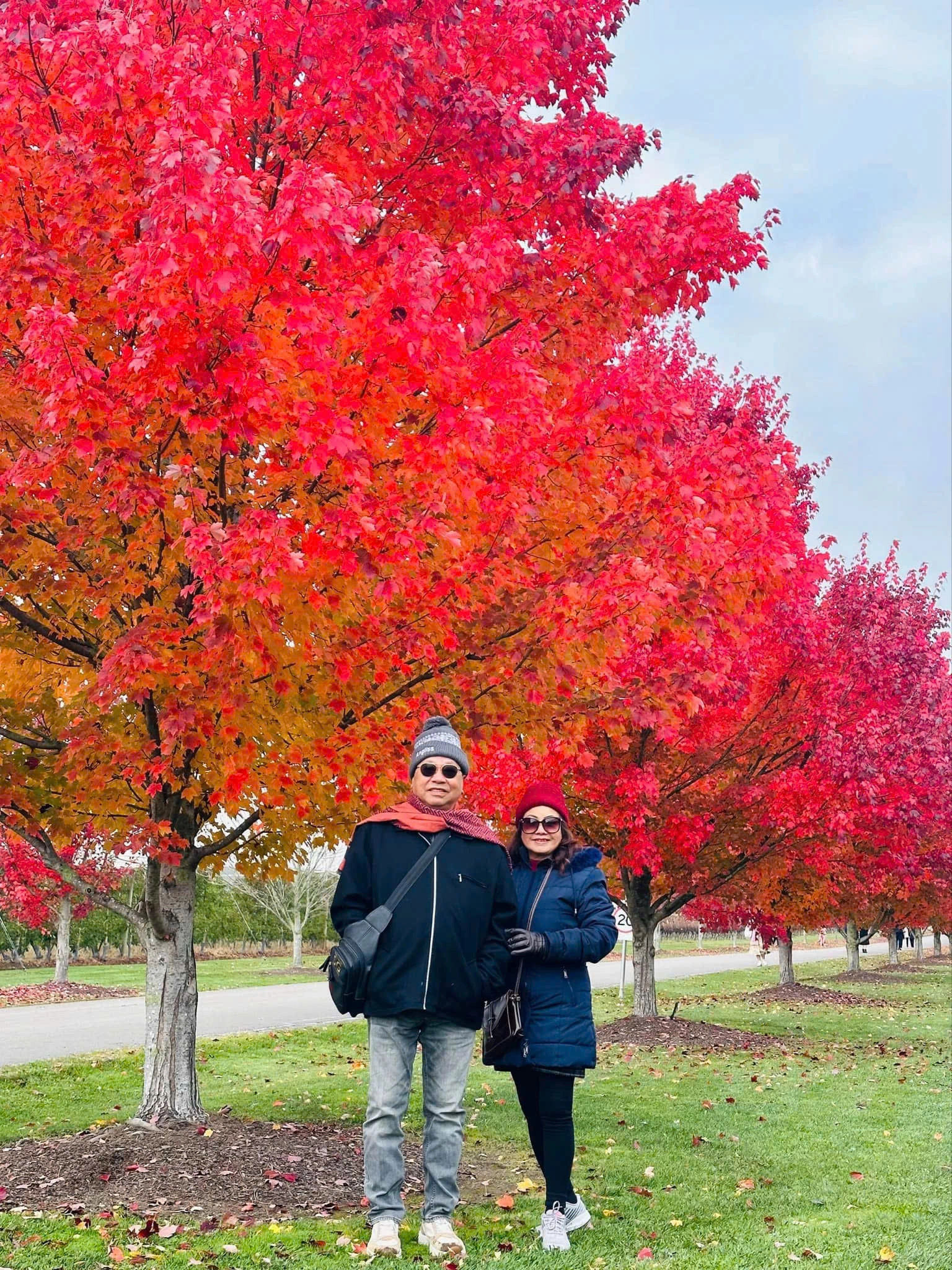 d4d8b70d3de08cbed5f118-1536x2048.webp (1.61 MB)