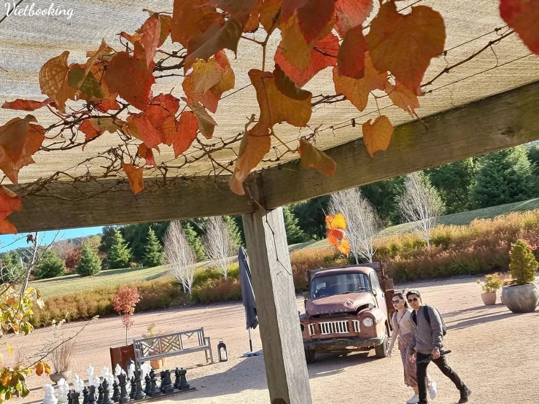 fea8080a5eebecb5b5fa24-1080x810.webp (222 KB)