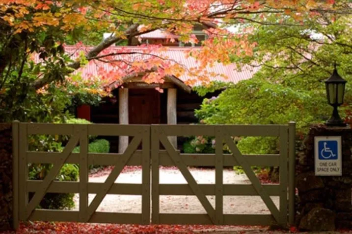 mua-thu-blue-mountains-717x478.webp (53 KB)