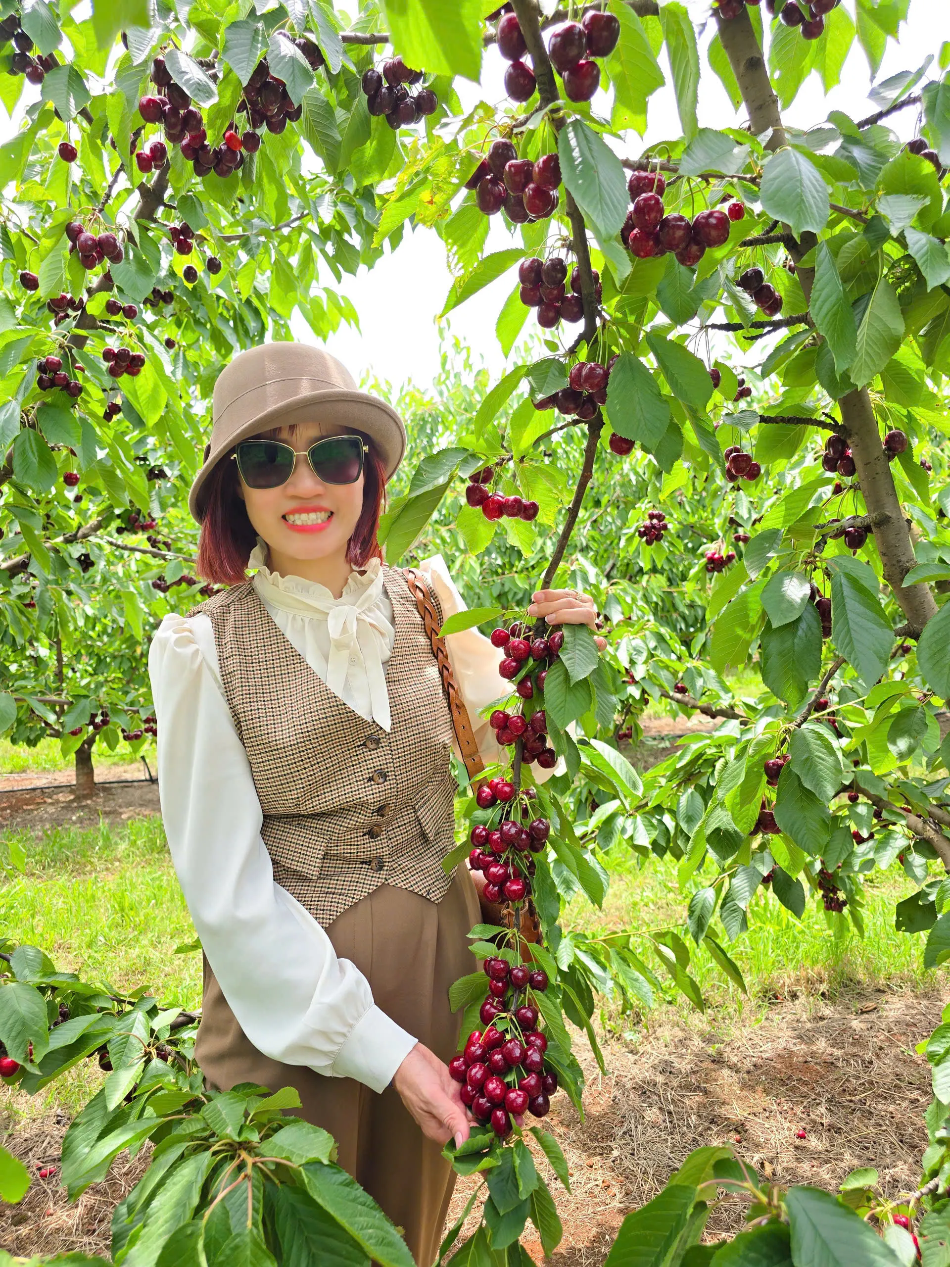 78666b370a73b72dee62-1920x2560.webp (998 KB)