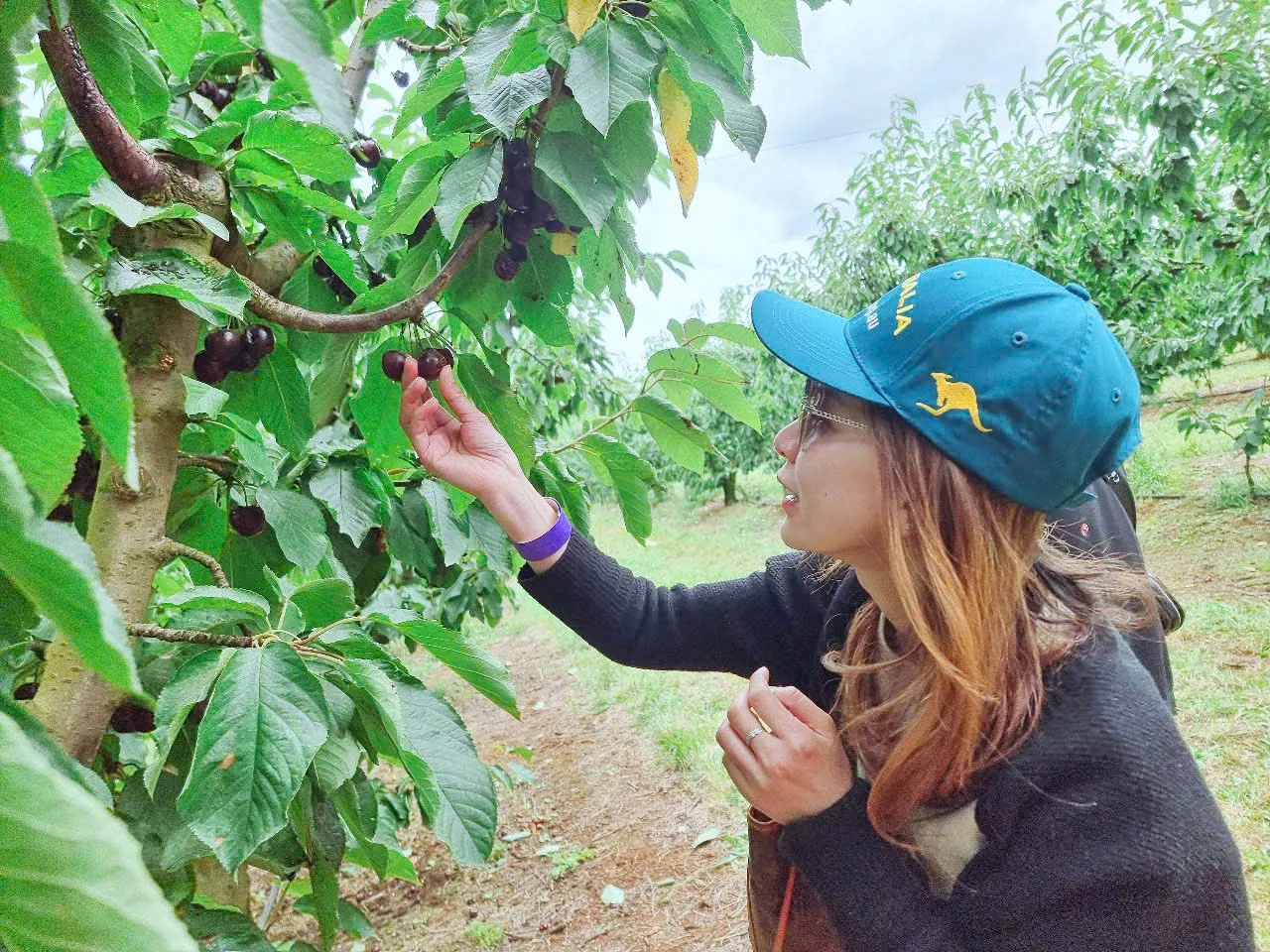 90450f8f-156f-423f-b5dd-ae5523d8c95c-1280x960.webp (294 KB)