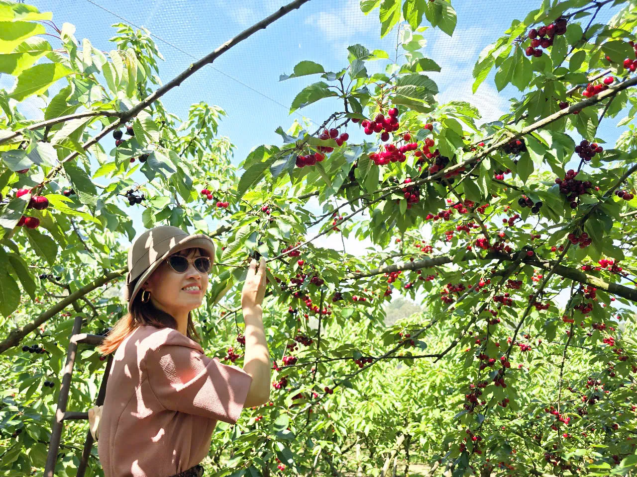 b9dd8d36a2cd189341dc52-1280x960.webp (384 KB)