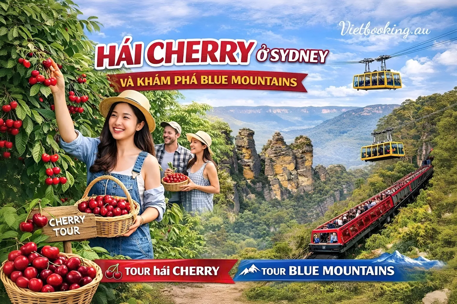 hai-cherry-sydney-1536x1024-1536x1024.webp (393 KB)