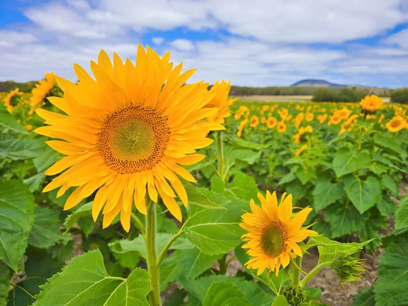 548b6c2ee9fc57a20eed5-1772532753.webp (72 KB)