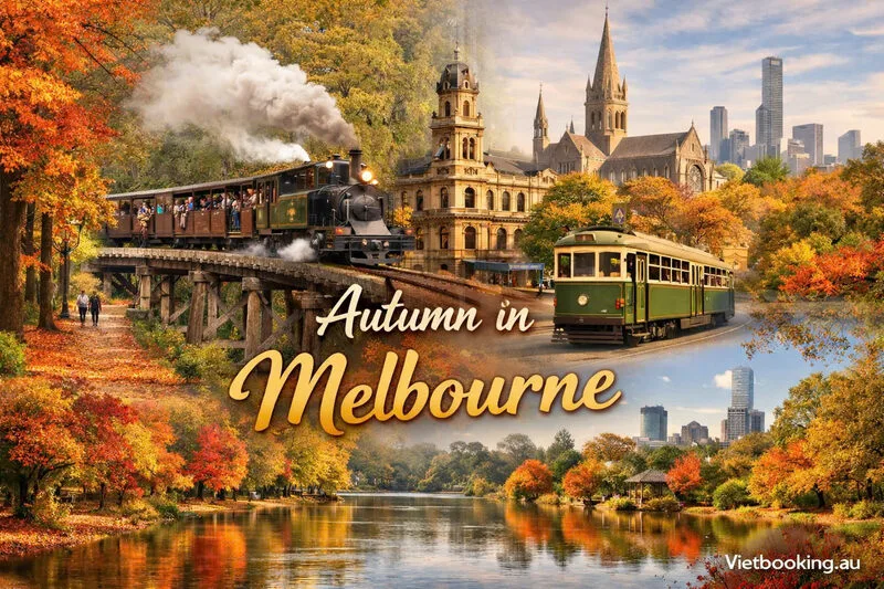 autumn-in-melbourne-1773114862.webp (133 KB)