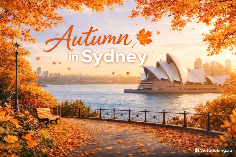 autumn-in-sydney-1773125865.webp (123 KB)