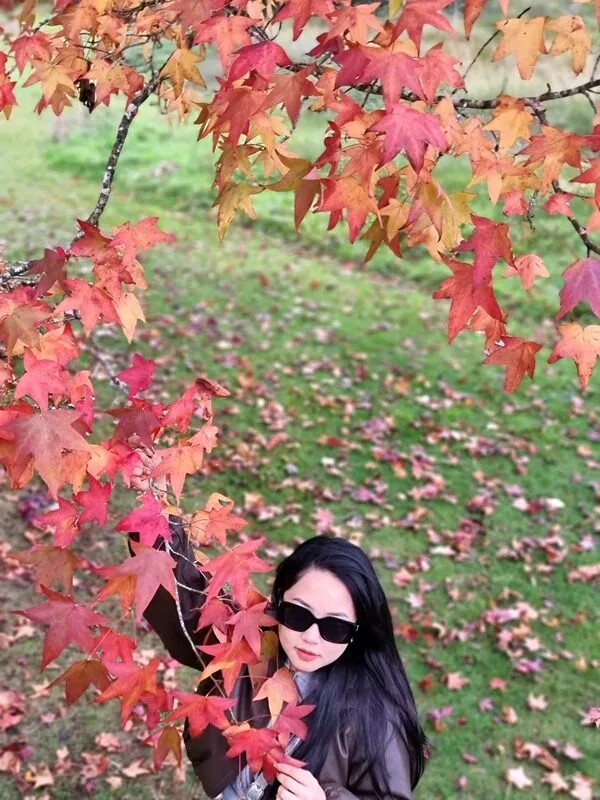 d564ef196c2fd871813e357-1773647723.webp (94 KB)