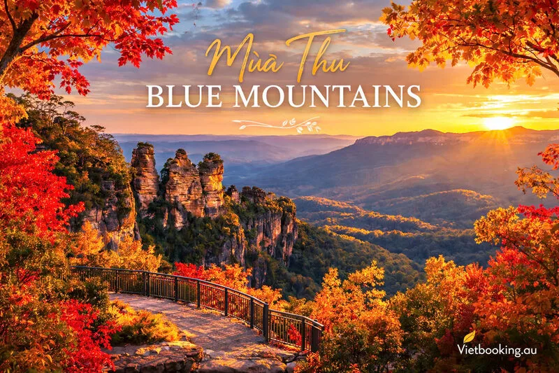 mua-thu-blue-mountains-nsw-1773647078.webp (140 KB)
