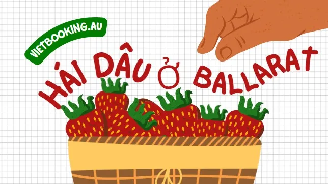 250517-103112-644x362.webp (29 KB)