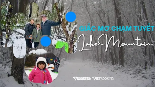 250529-161839-653x367.webp (49 KB)