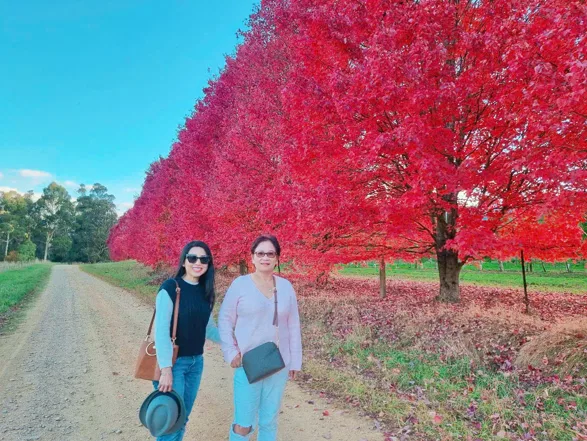 260316-162505-1773653108.webp (75 KB)