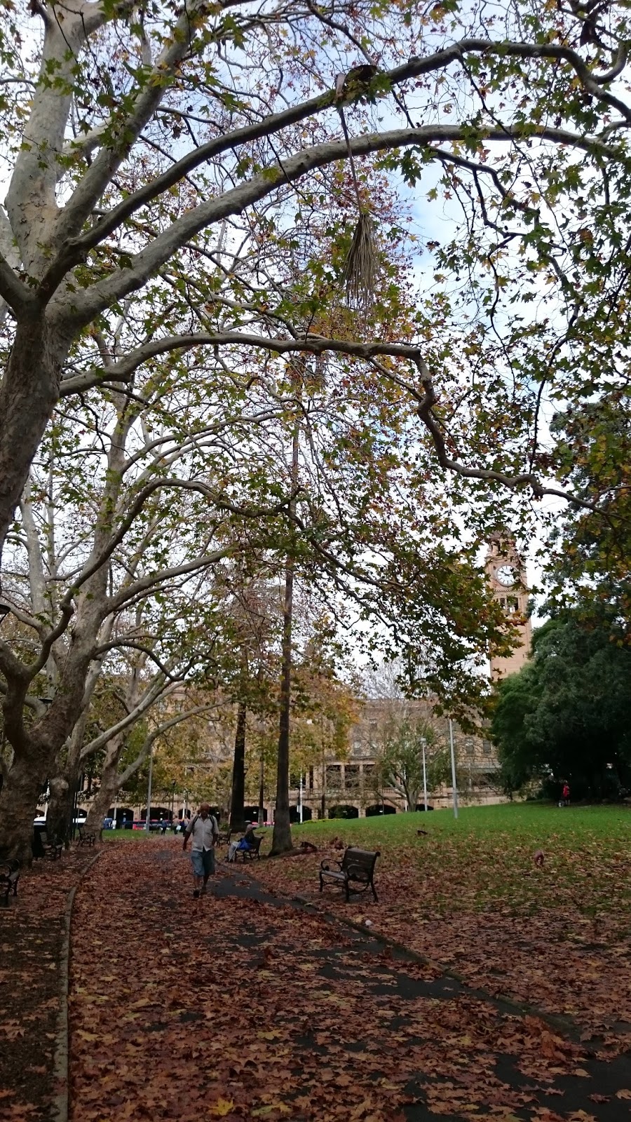 Sydney một ngày sau giông bão