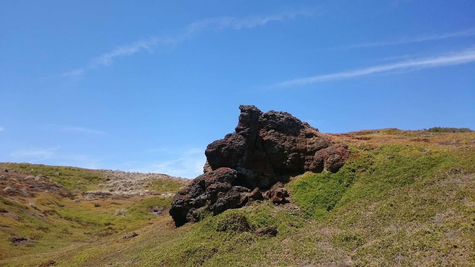 Kh&aacute;m ph&aacute; vẻ đẹp đảo Phillip