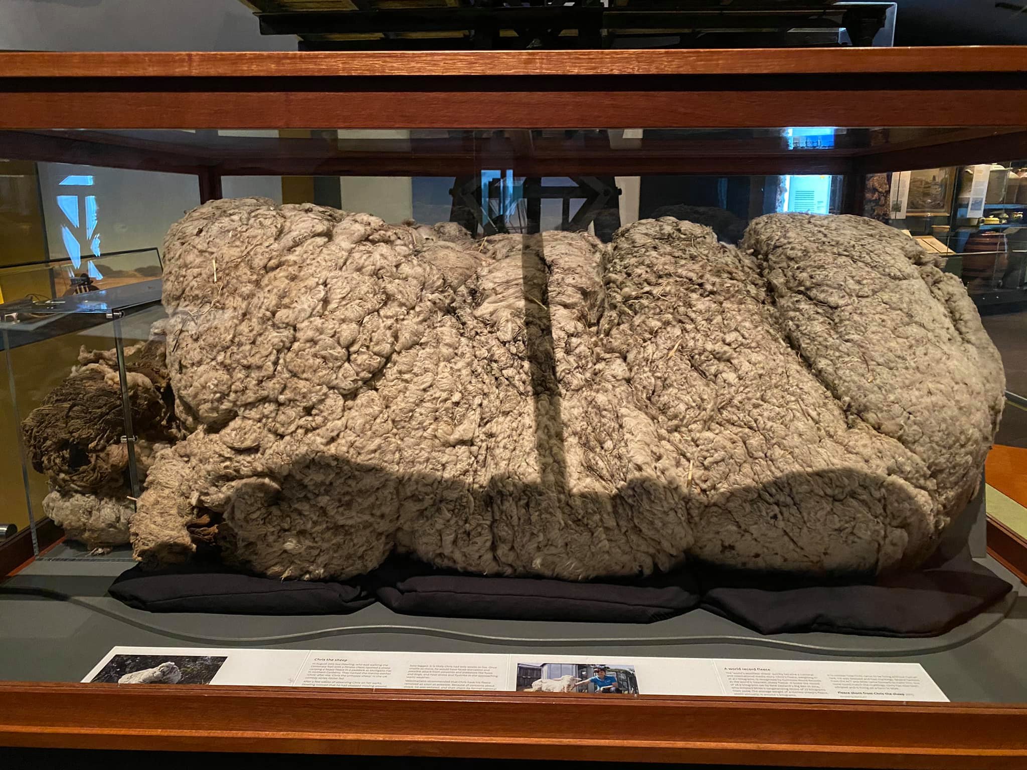 Bảo t&agrave;ng quốc gia &Uacute;c