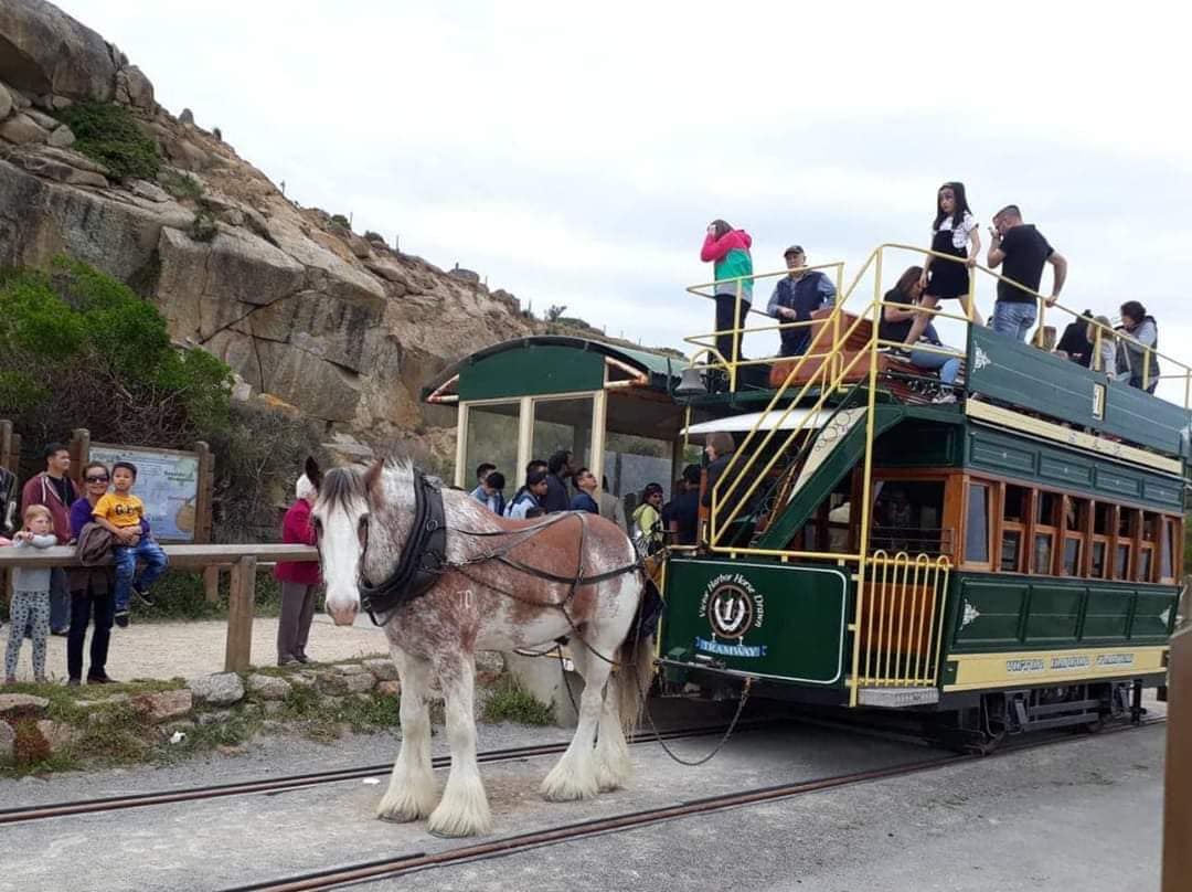 Kh&aacute;m Ph&aacute; Adelaide phần 2