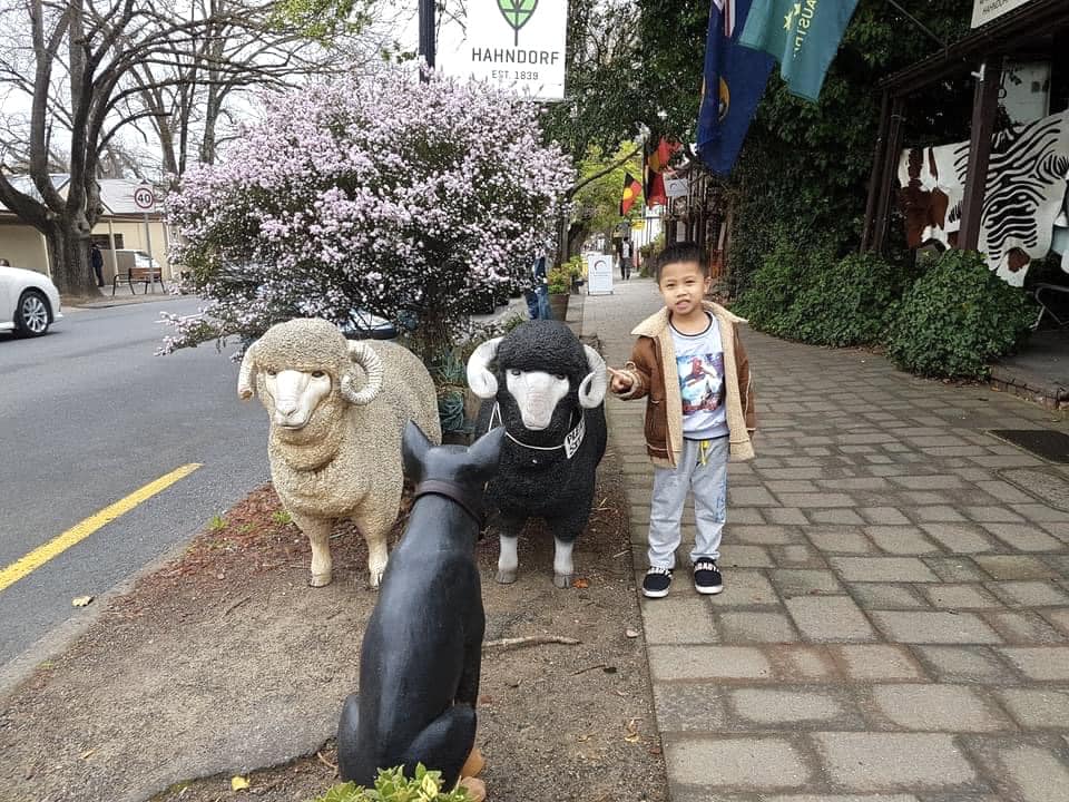 Kh&aacute;m Ph&aacute; Adelaide phần 2