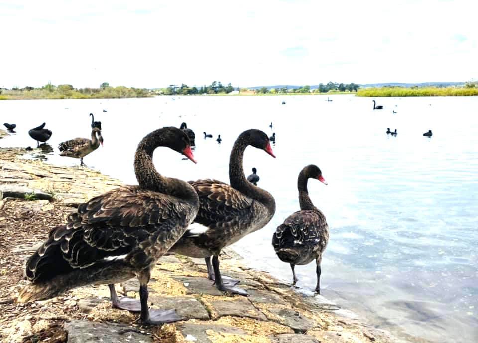 TP.Ballarat v&agrave; hồ thi&ecirc;n nga