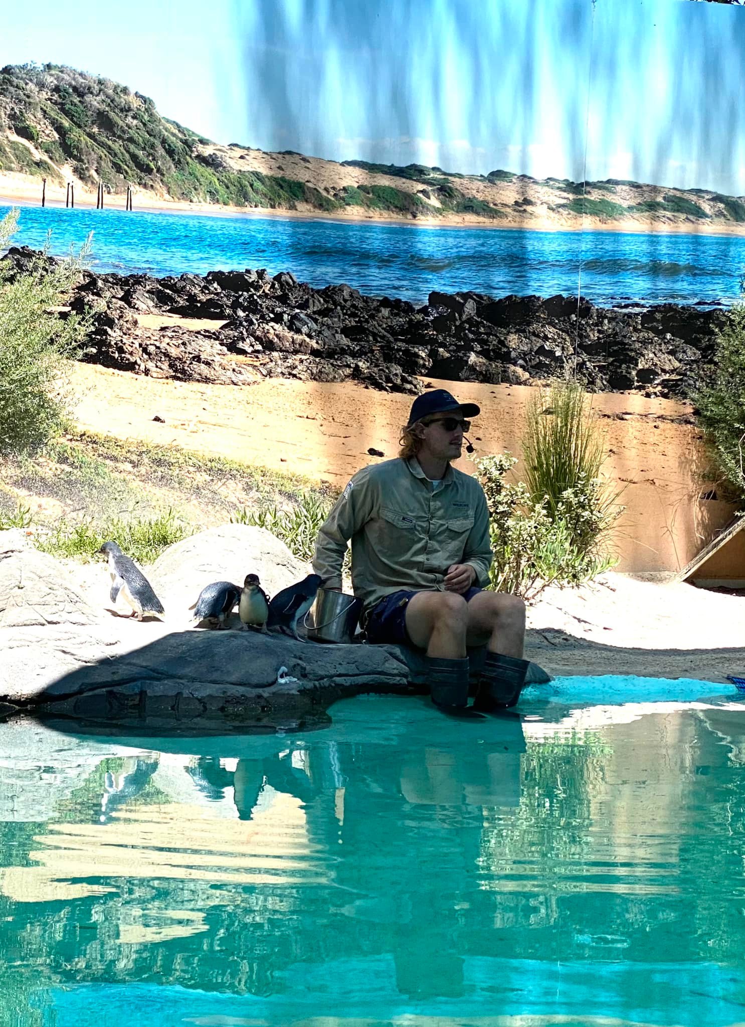 Vườn th&uacute; hoang d&atilde; Ballarat