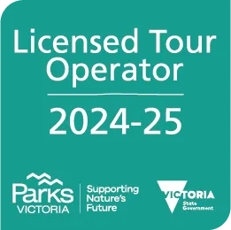 Licensed Tour Operator 2024-25