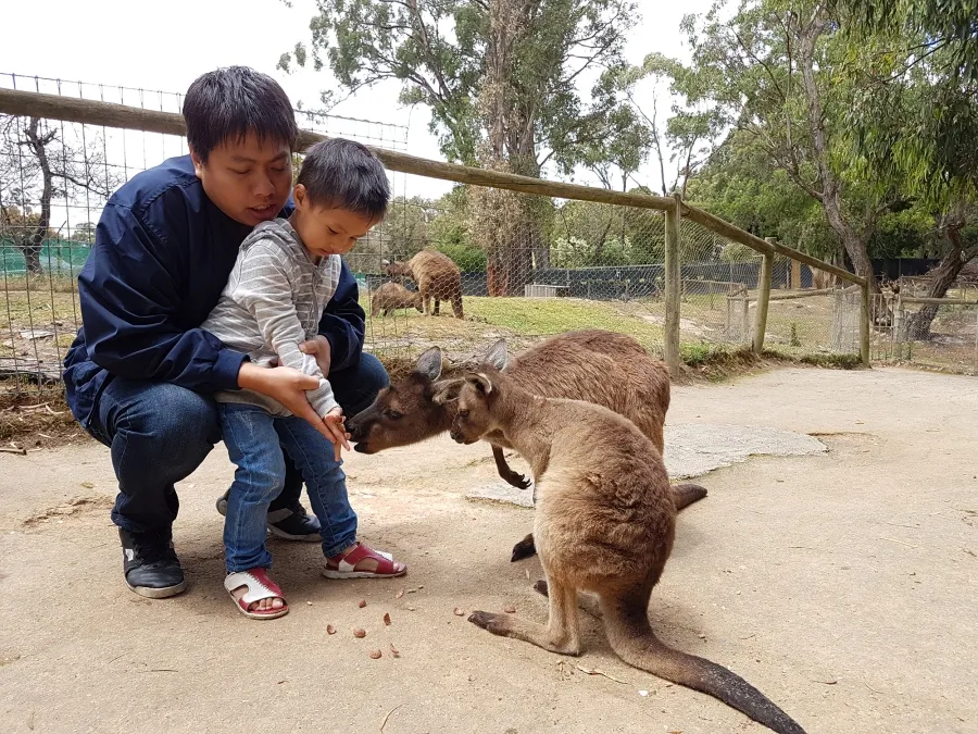 item image 141 album của tour Ballarat VIP