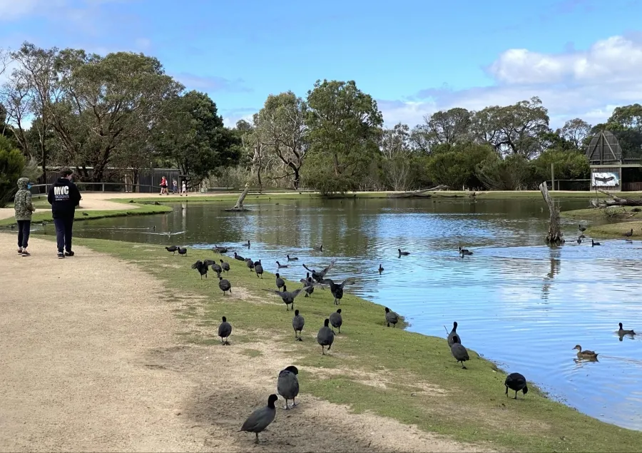 item image 195 album của tour Ballarat VIP