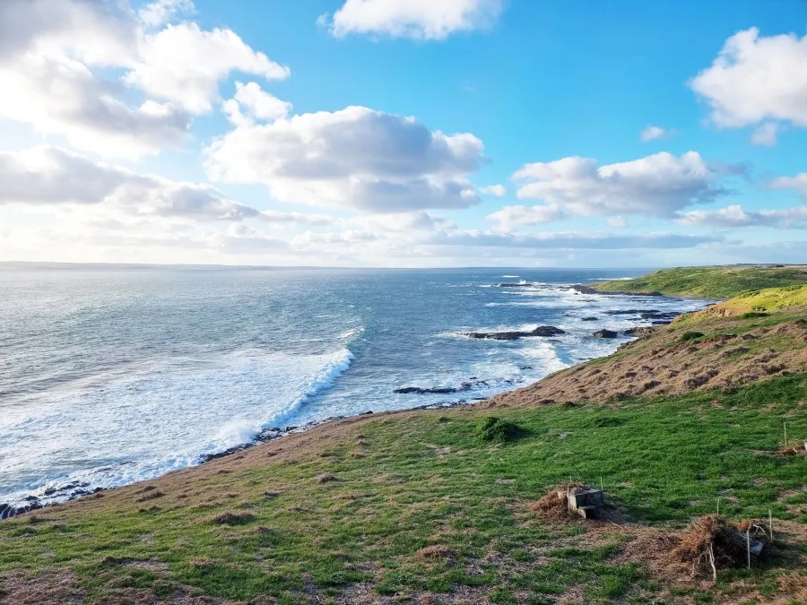 item image 234 album của tour Phillip Island VIP tour