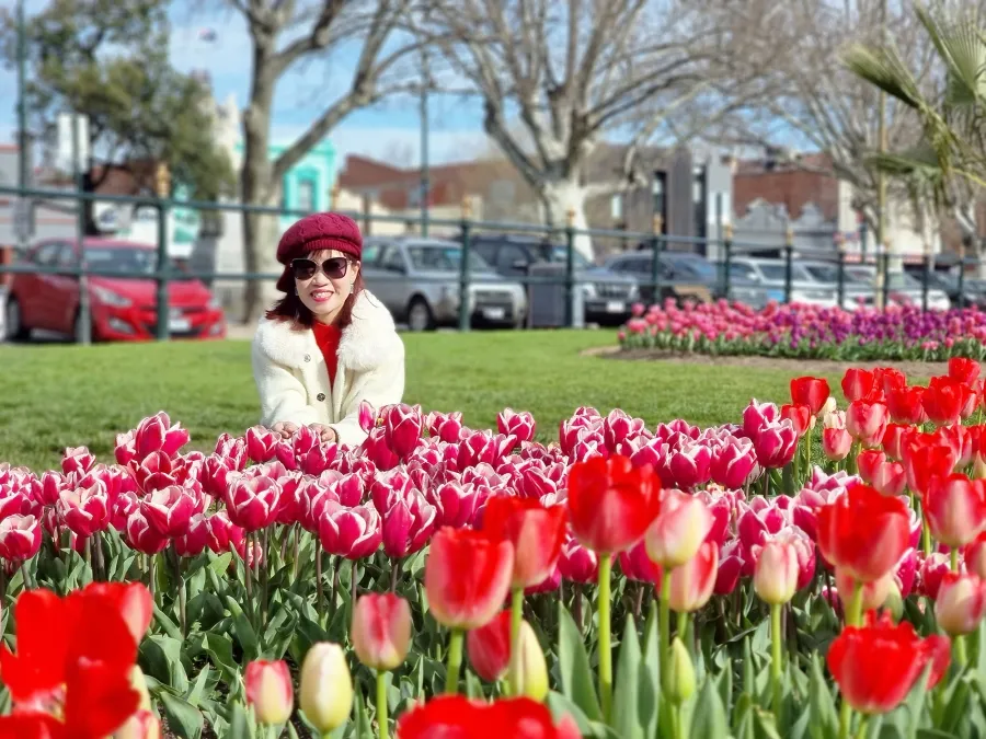 item image 315 album của tour Chùa phật ngọc Bendigo và hoa