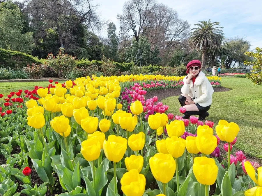 item image 316 album của tour Chùa phật ngọc Bendigo và hoa