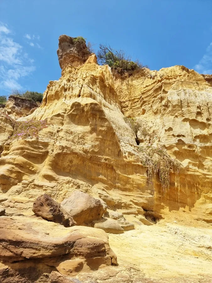 item image 277 album của tour Du ngoạn Vịnh Port Phillip - Ngắm cá heo