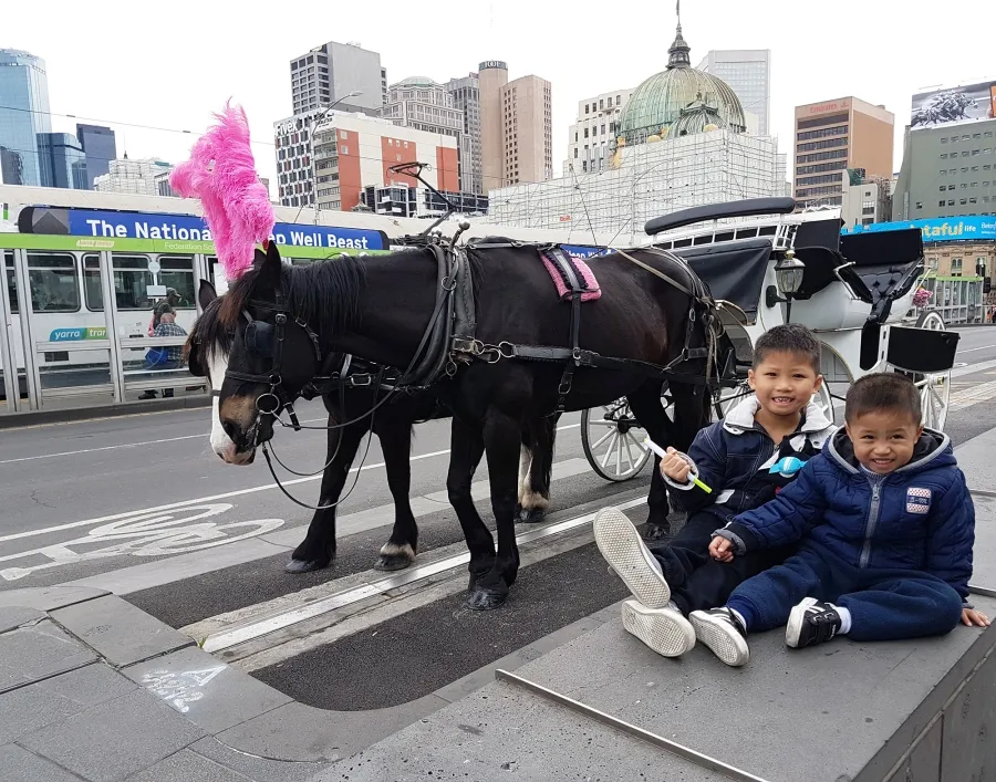 item image 379 album của tour Việt booking - VietBooking - Vbooking -Canberra Melbourne Road Trip 2 Ngày 1 Đêm