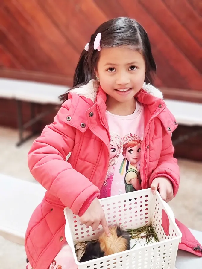 item image 403 album của tour Du ngoạn Vịnh Port Phillip - Ngắm cá heo