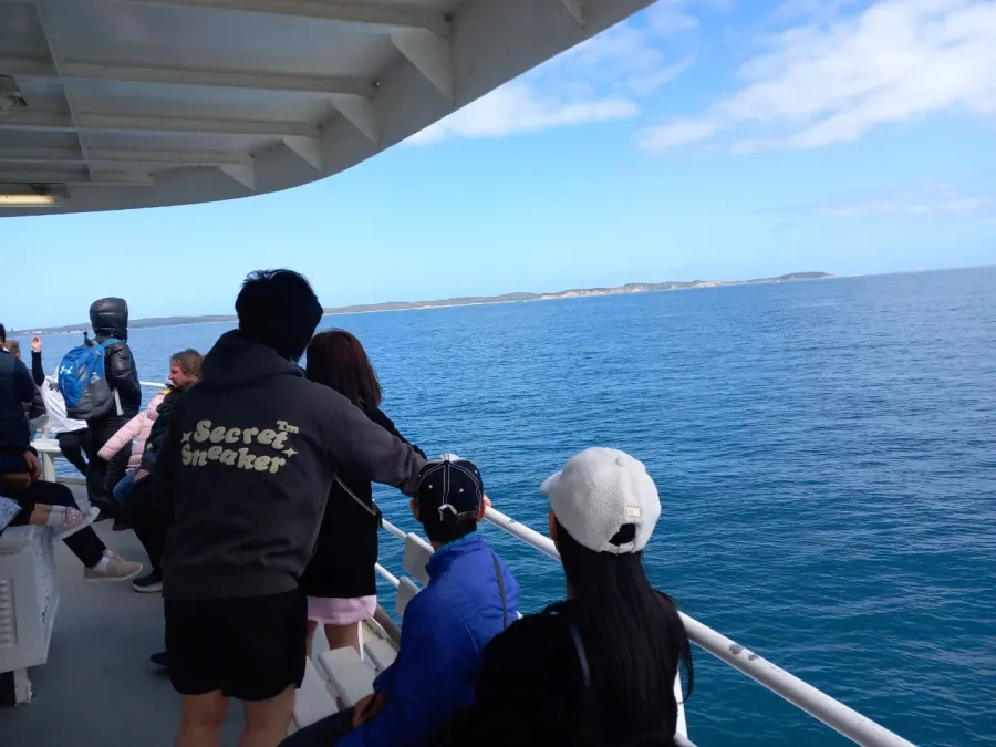 item image 471 album của tour Du ngoạn Vịnh Port Phillip - Ngắm cá heo