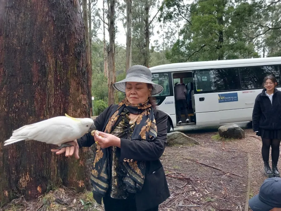 item image 456 album của tour Nông trang Yarra valley và tàu cổ Puffing Billing