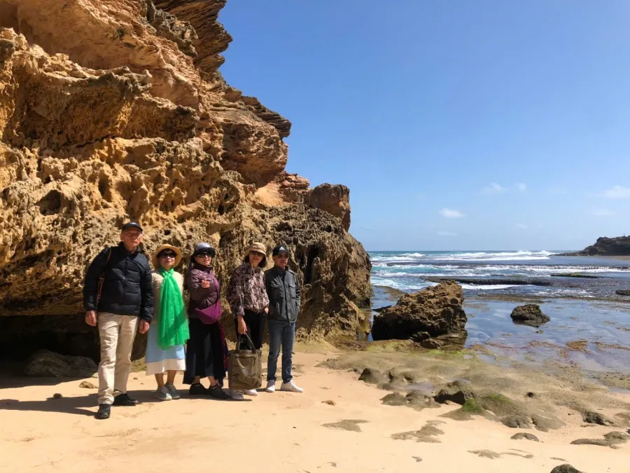 item image 472 album của tour Du ngoạn Vịnh Port Phillip - Ngắm cá heo