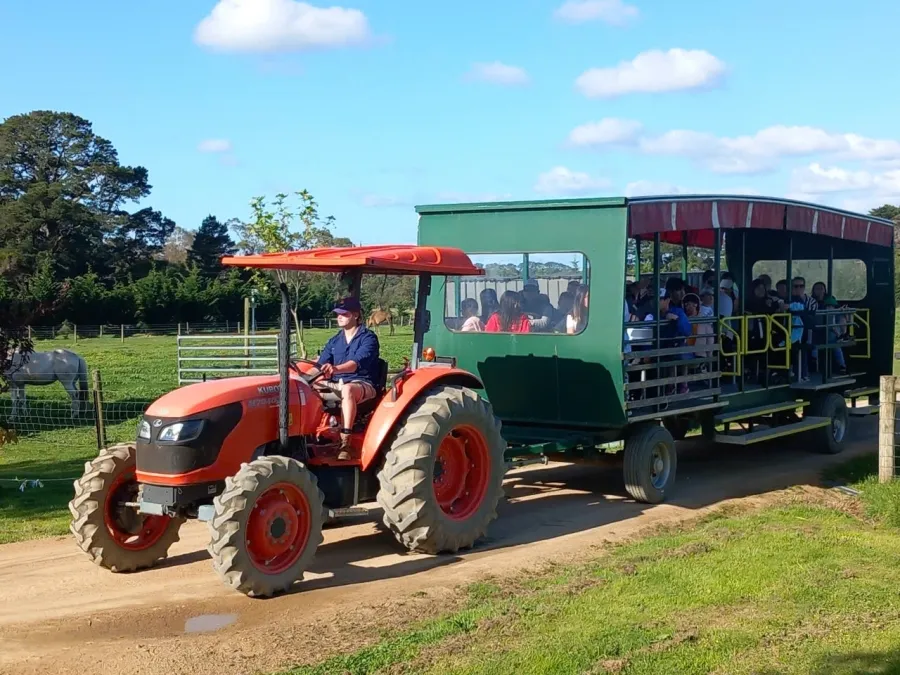 item image 467 album của tour Du ngoạn Vịnh Port Phillip - Ngắm cá heo