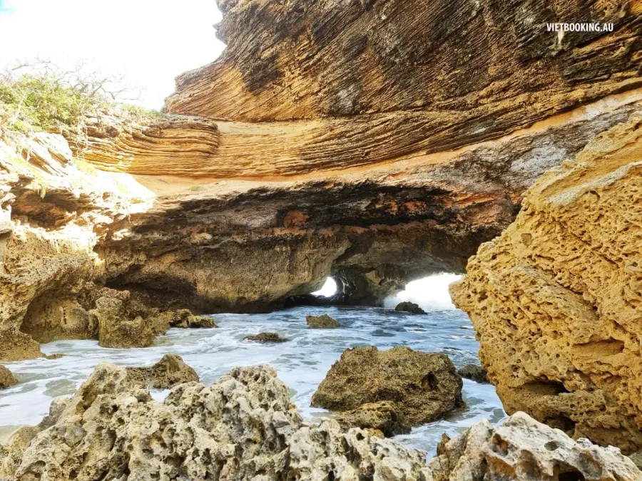 item image 422 album của tour Bán đảo Mornington