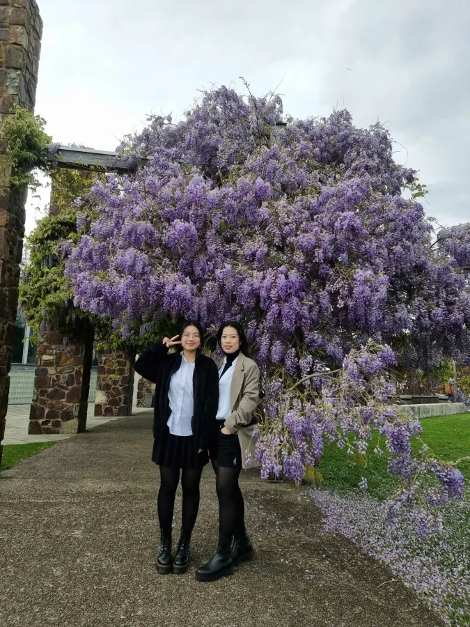 item image 419 album của tour Nông trang Yarra valley và tàu cổ Puffing Billing