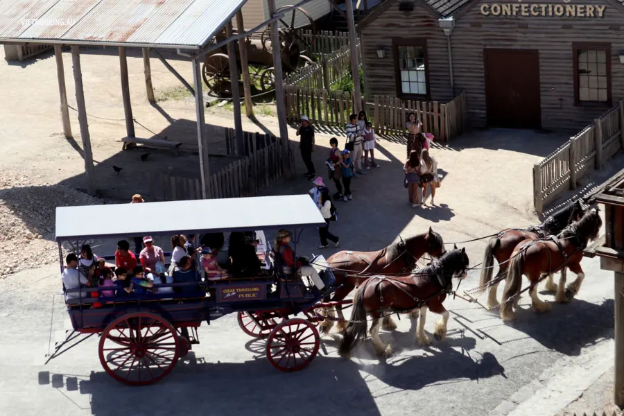 item image 505 album của tour Ballarat VIP