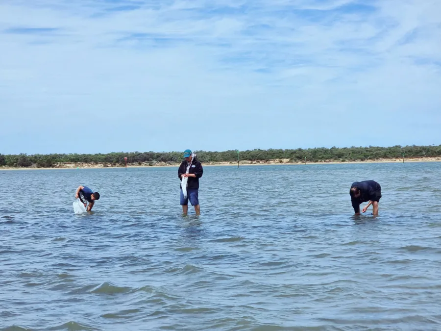 item image 541 album của tour Lake Entrance - Bắt ghẹ vớt tôm