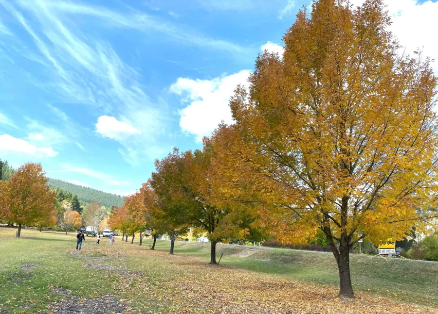 item image 575 album của tour Việt booking - VietBooking - Vbooking - Lá thu thị trấn Bright