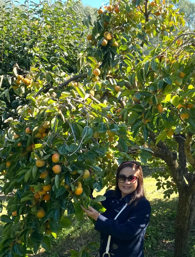 item image 573 album của tour Việt booking - VietBooking - Vbooking - Lá thu thị trấn Bright