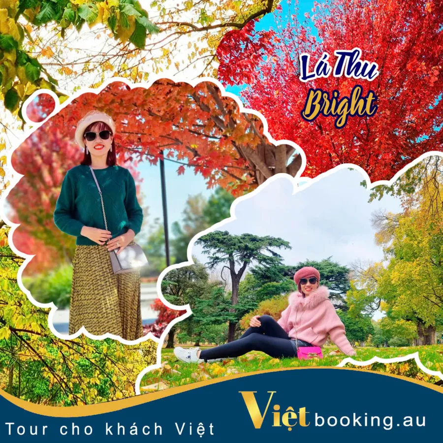 item image 568 album của tour Việt booking - VietBooking - Vbooking - Lá thu thị trấn Bright