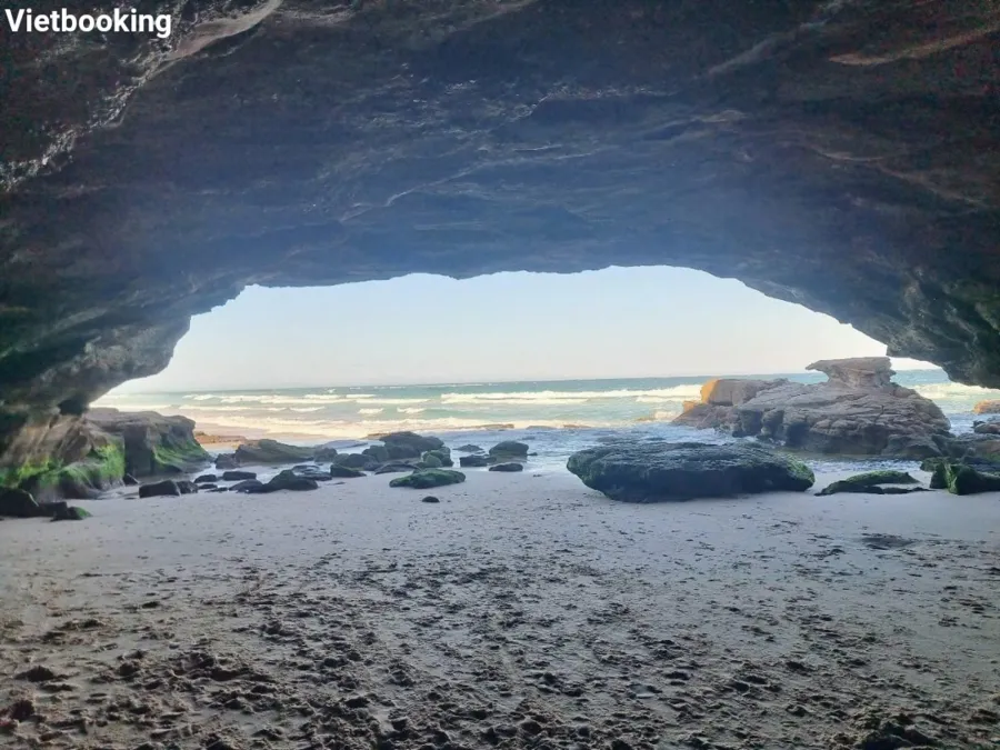 item image 613 album của tour Ngắm cá heo - Cưỡi Lạc đà - Nelson Bay