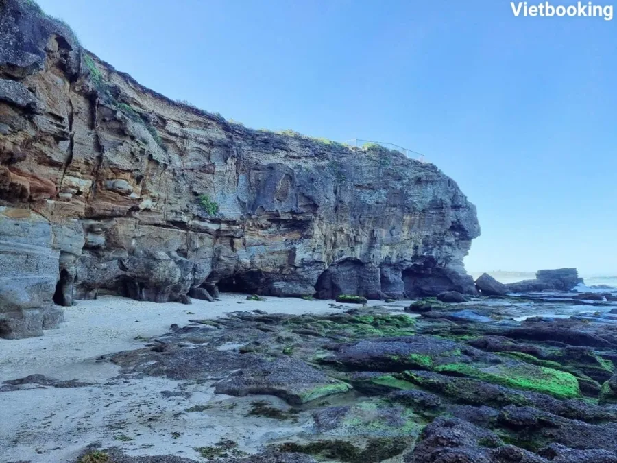 item image 609 album của tour Ngắm cá heo - Cưỡi Lạc đà - Nelson Bay