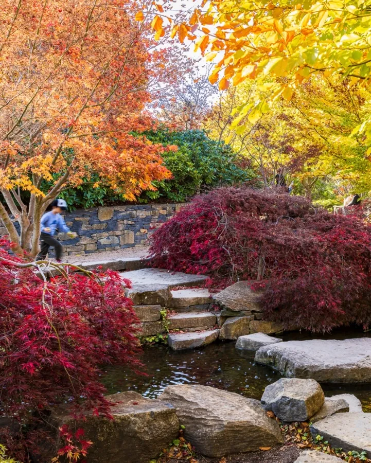 item image 649 album của tour Lá mùa thu Mayfield